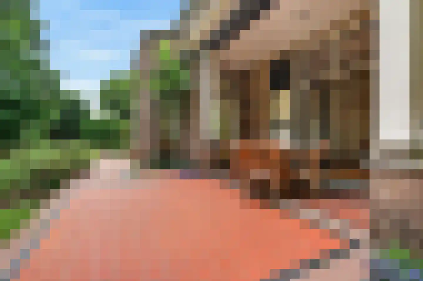 Tromplaan 11 Baarn thumbnail 13