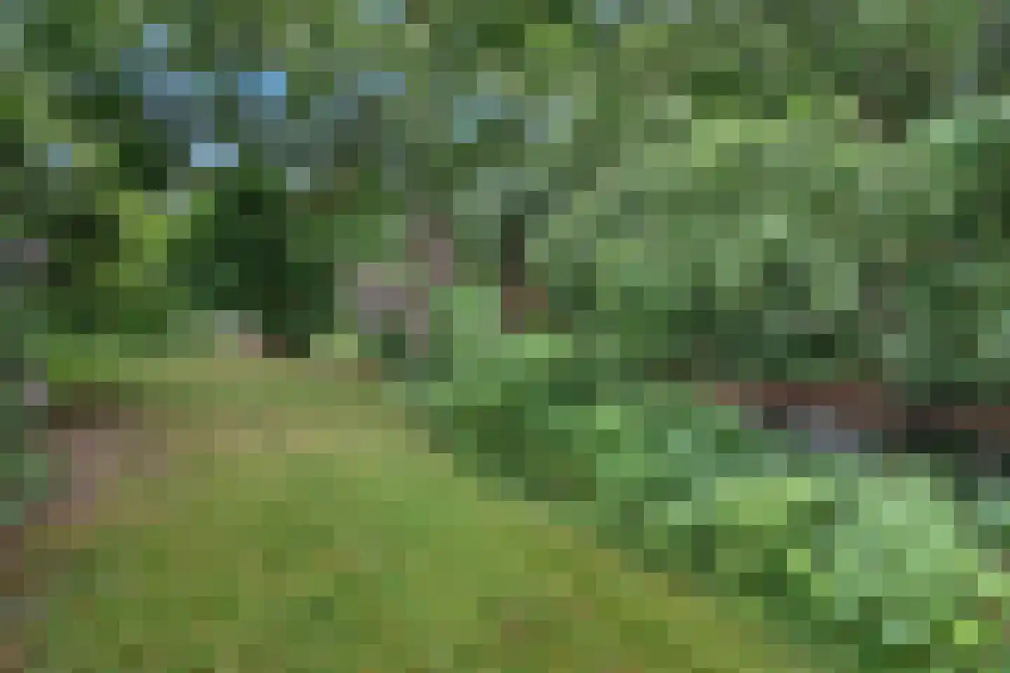 Tromplaan 11 Baarn thumbnail 46