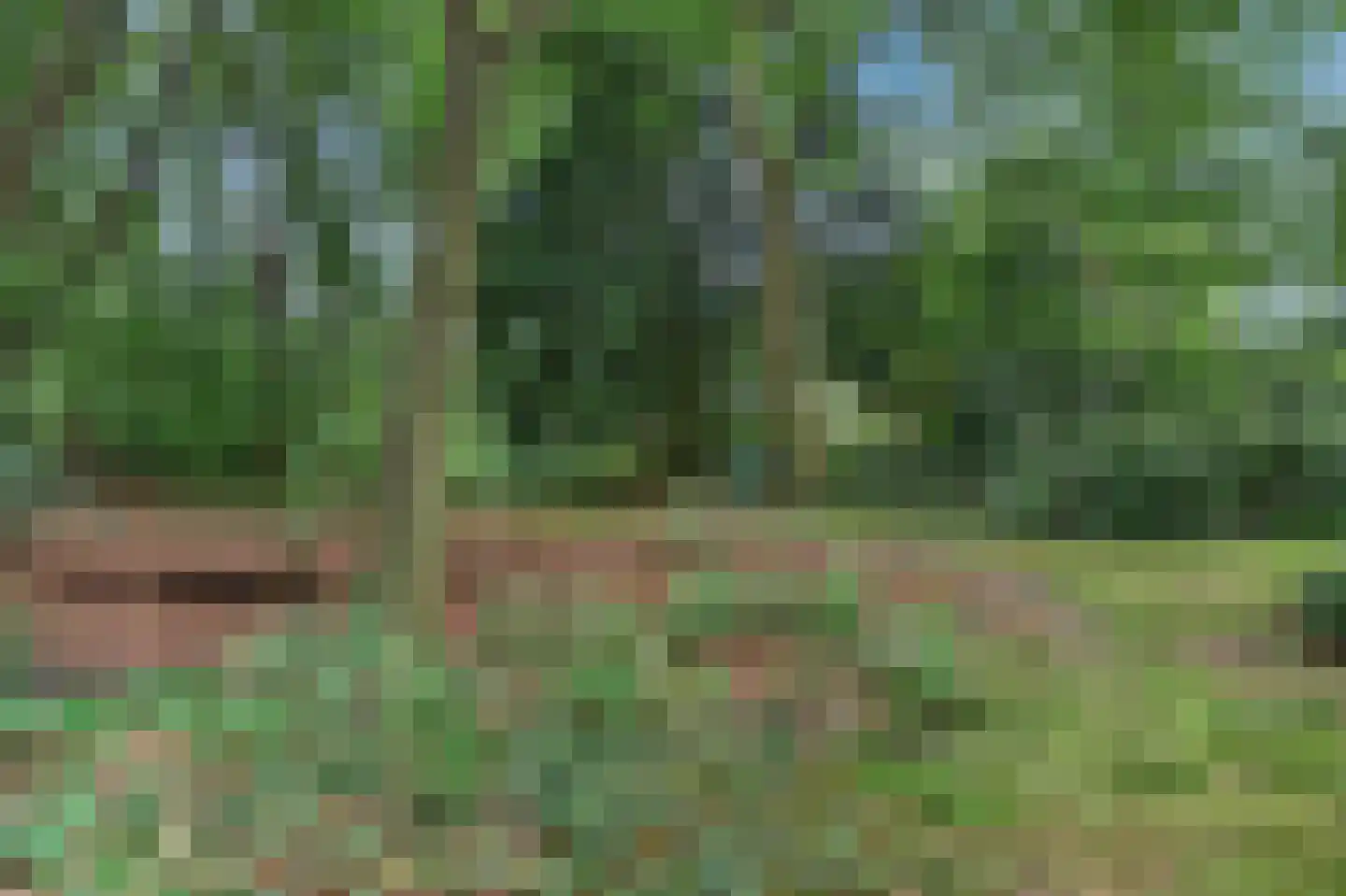 Tromplaan 11 Baarn thumbnail 47