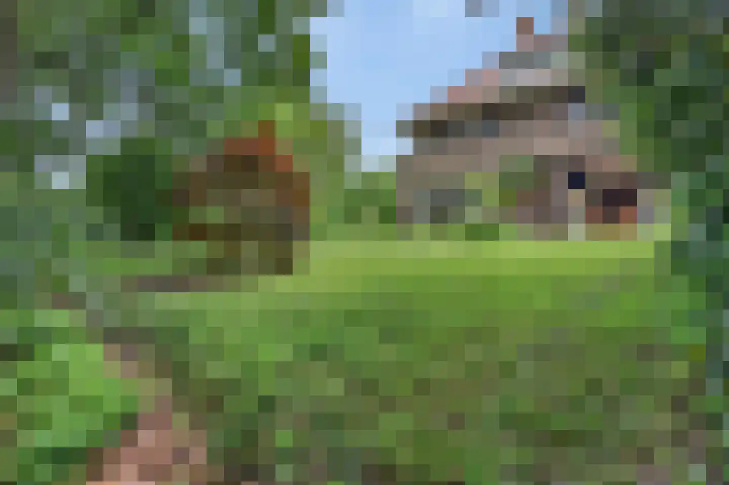 Tromplaan 11 Baarn thumbnail 48
