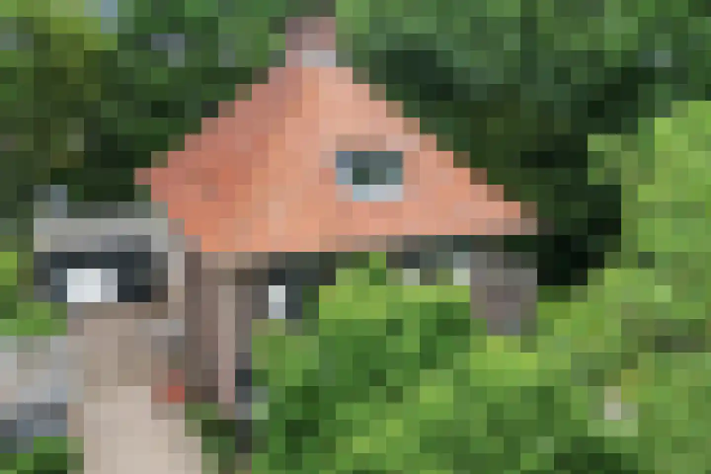 Tromplaan 11 Baarn thumbnail 5