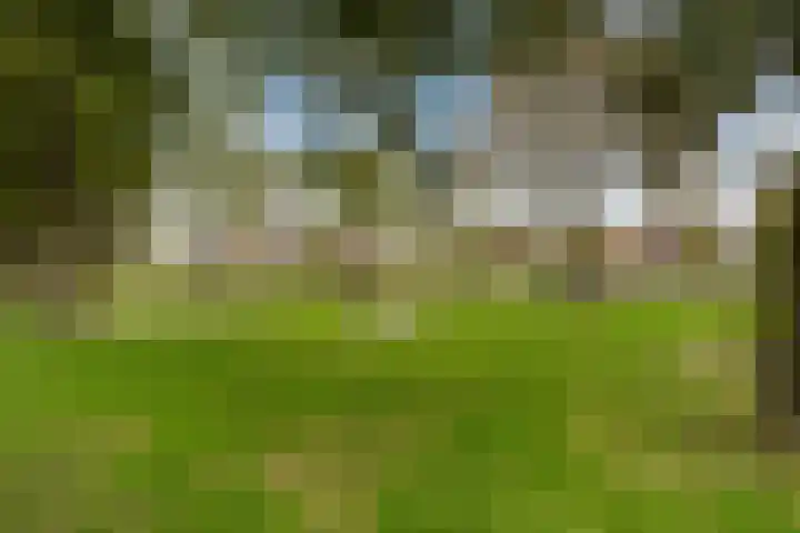 Tromplaan 119 Weert thumbnail 41