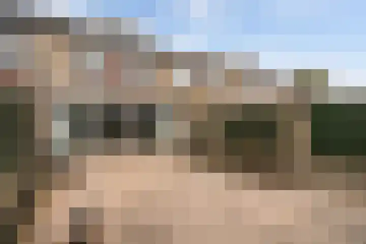 Tromplaan 119 Weert thumbnail 5