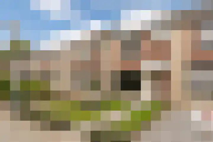 Tromplaan 119 Weert thumbnail 6