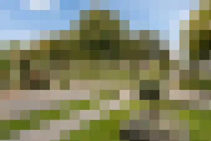 Tromplaan 119 Weert thumbnail 8
