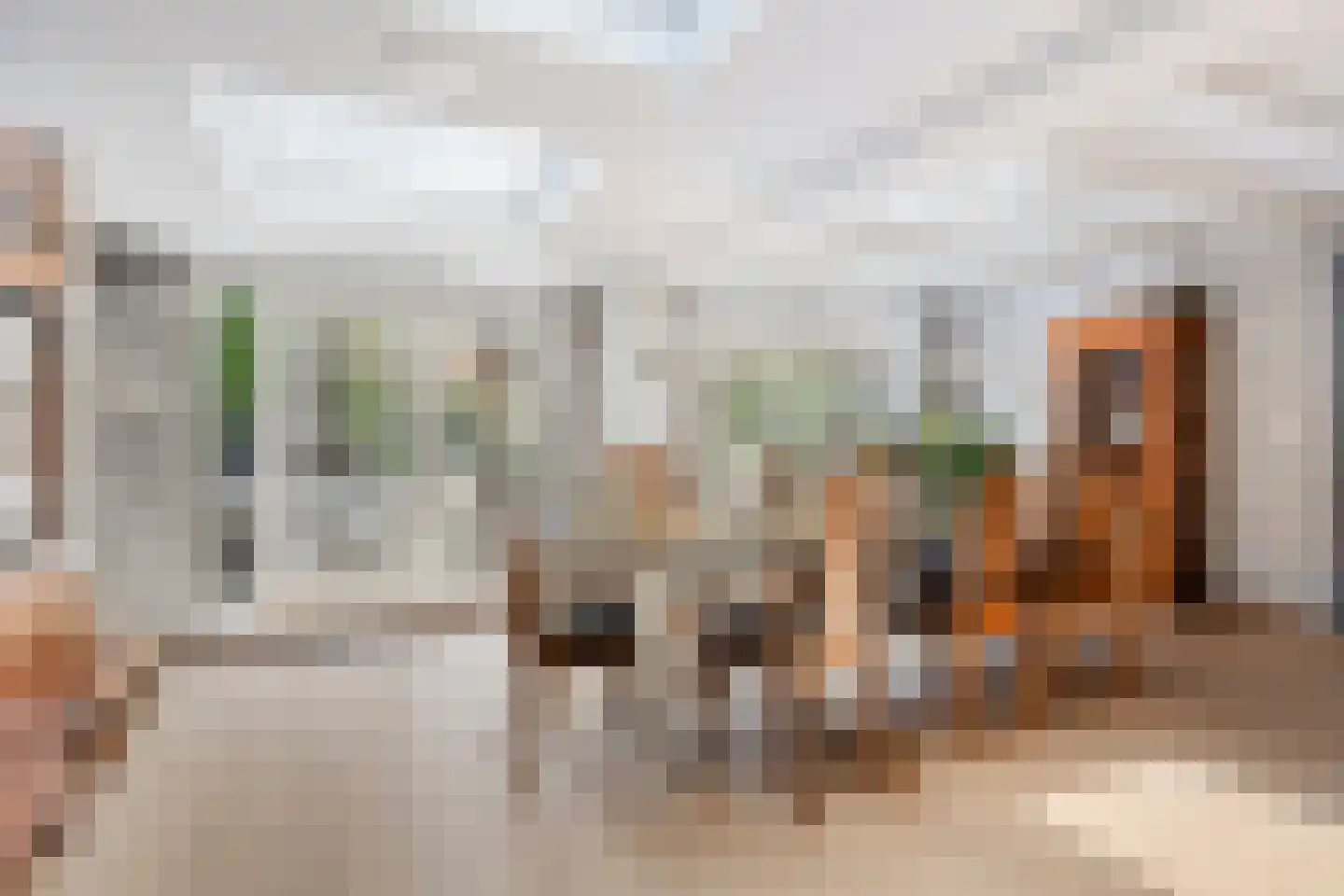 Tromplaan 13 Velp thumbnail 10