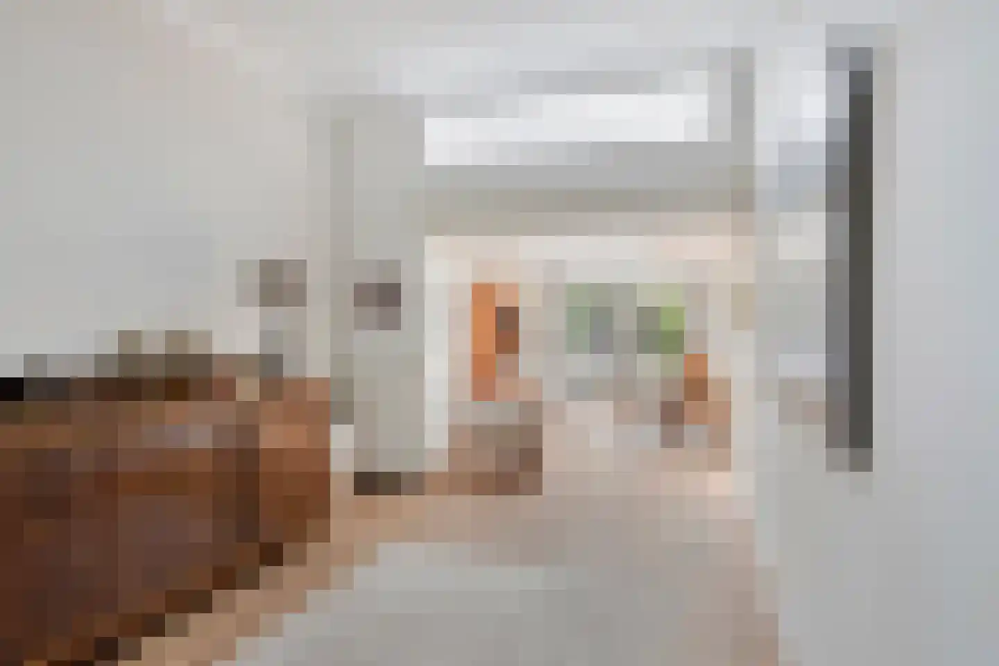 Tromplaan 13 Velp thumbnail 11