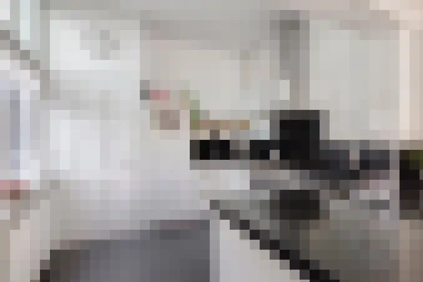 Tromplaan 13 Velp thumbnail 12