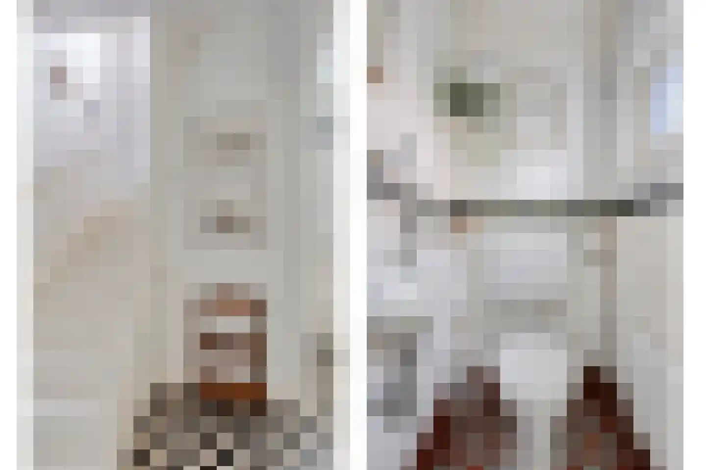 Tromplaan 13 Velp thumbnail 15