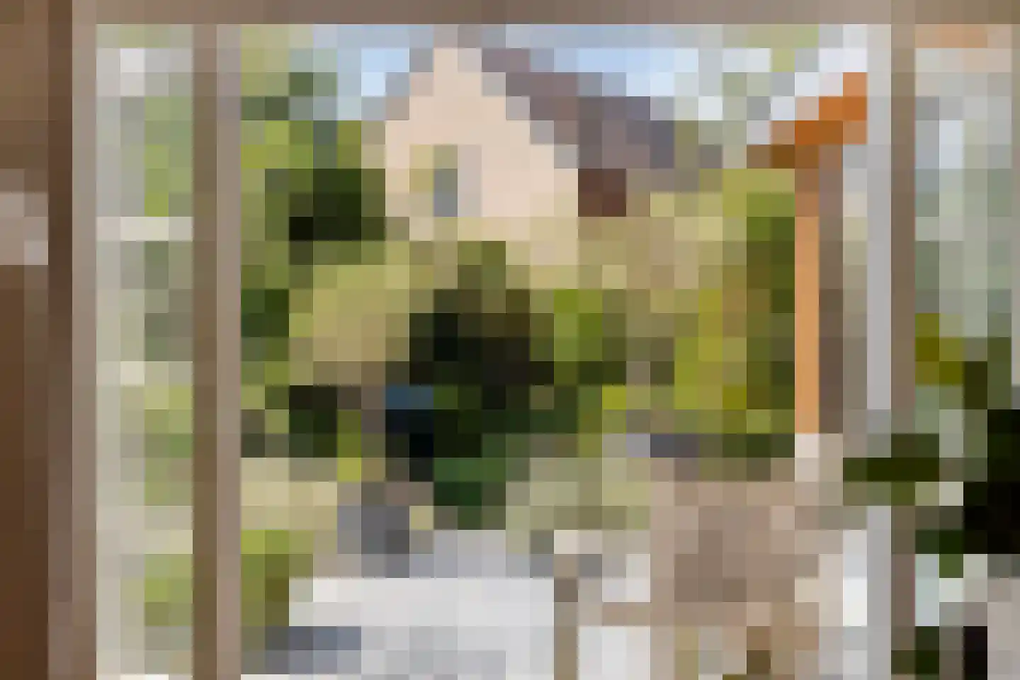 Tromplaan 13 Velp thumbnail 16