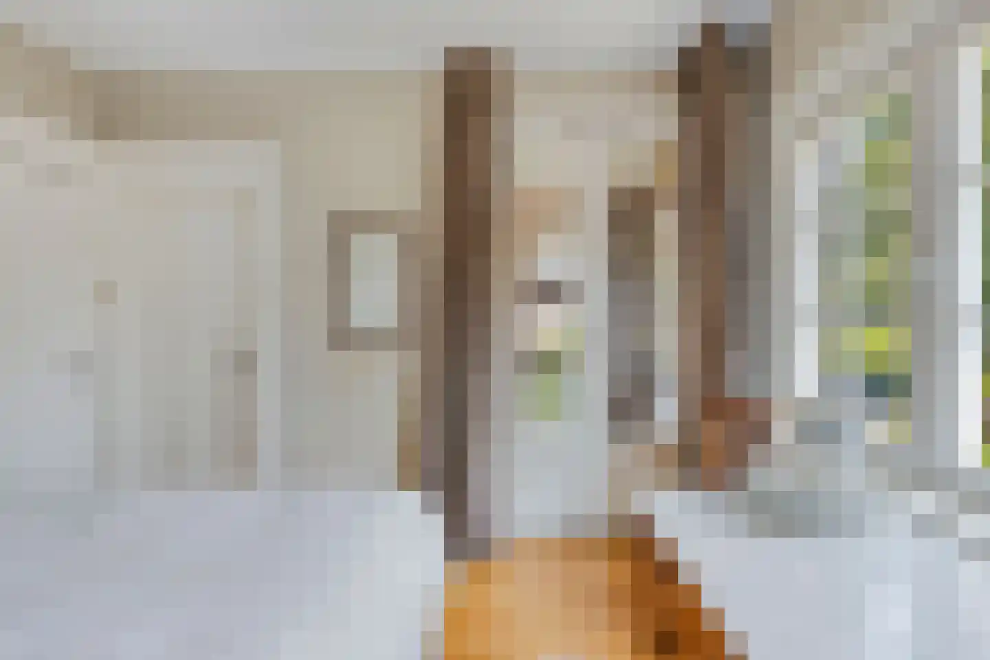 Tromplaan 13 Velp thumbnail 21