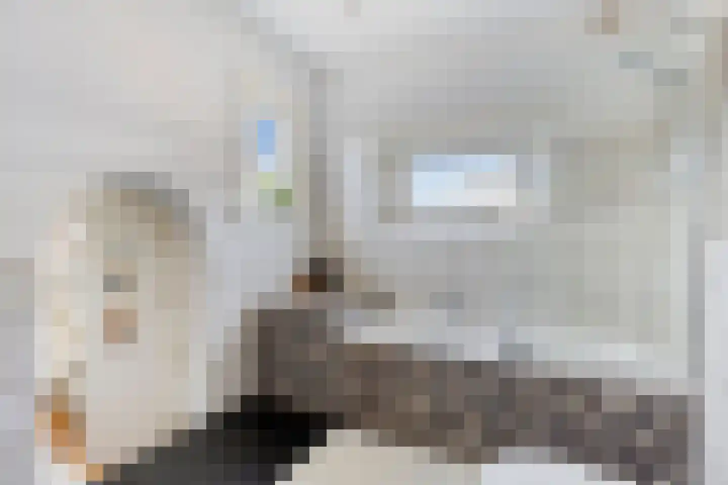 Tromplaan 13 Velp thumbnail 26