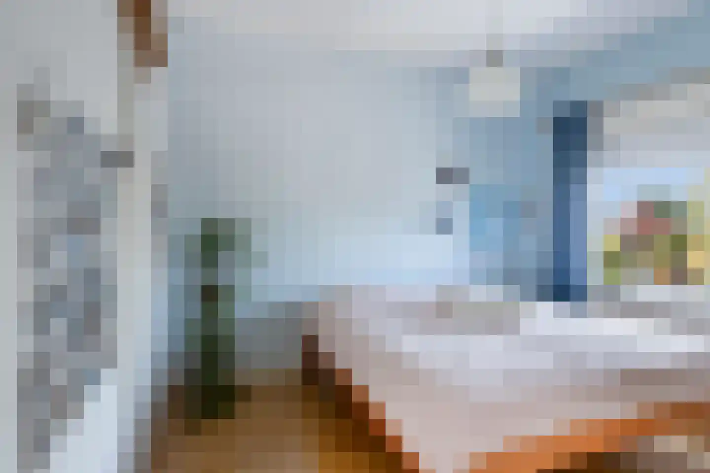 Tromplaan 13 Velp thumbnail 28