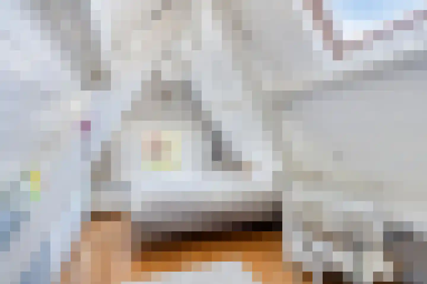 Tromplaan 13 Velp thumbnail 29