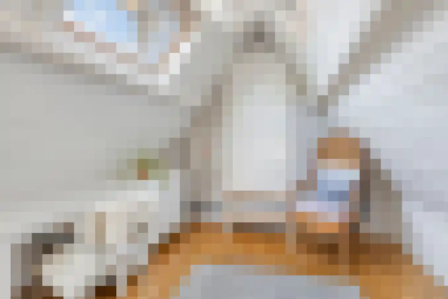 Tromplaan 13 Velp thumbnail 32