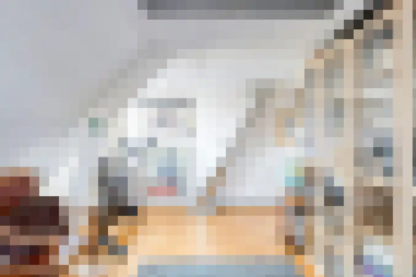 Tromplaan 13 Velp thumbnail 37