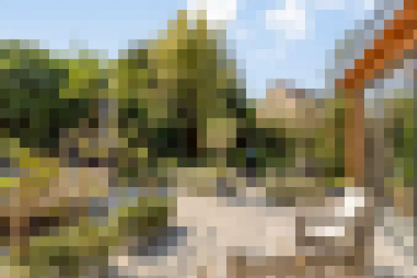 Tromplaan 13 Velp thumbnail 39