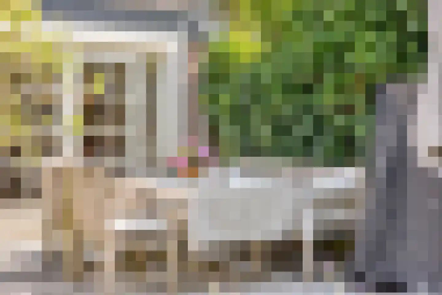 Tromplaan 13 Velp thumbnail 40