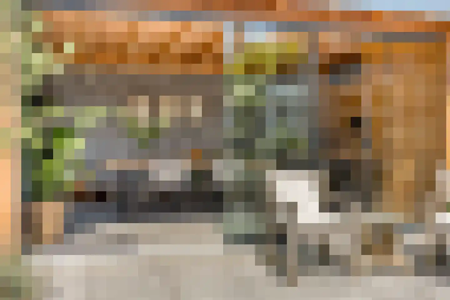 Tromplaan 13 Velp thumbnail 41