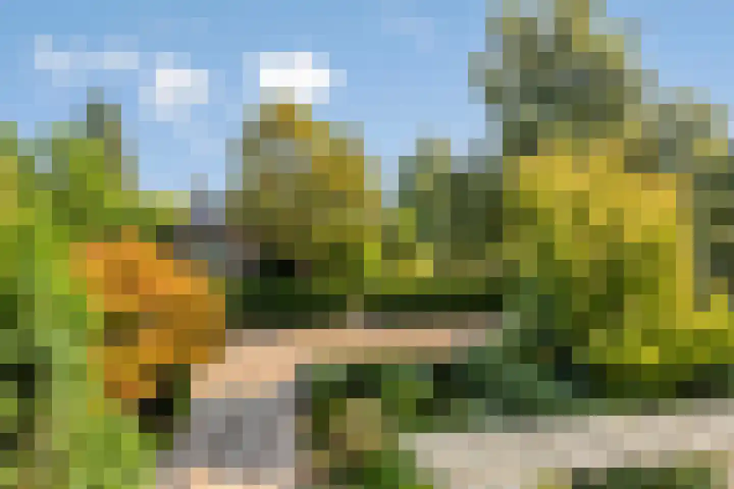 Tromplaan 13 Velp thumbnail 42