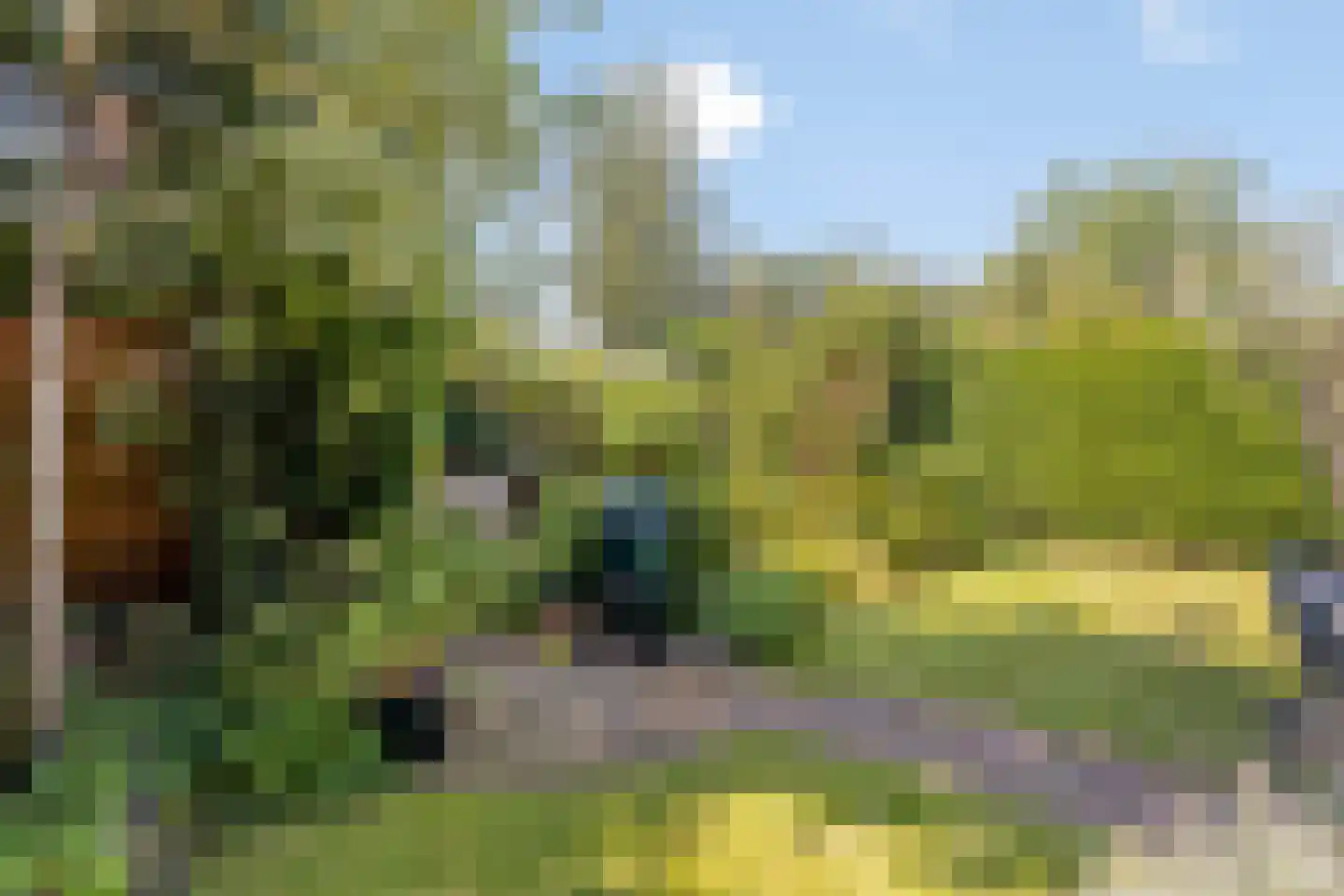 Tromplaan 13 Velp thumbnail 45