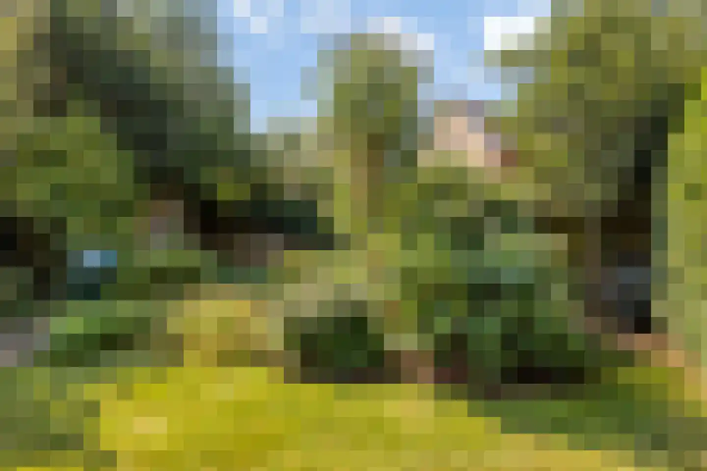 Tromplaan 13 Velp thumbnail 46