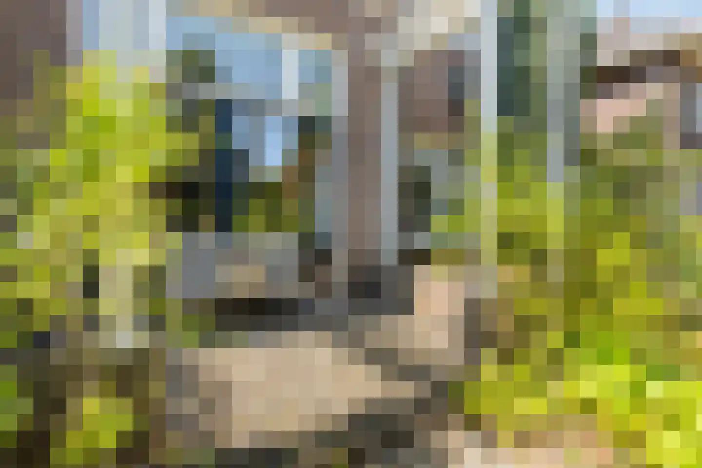 Tromplaan 13 Velp thumbnail 48