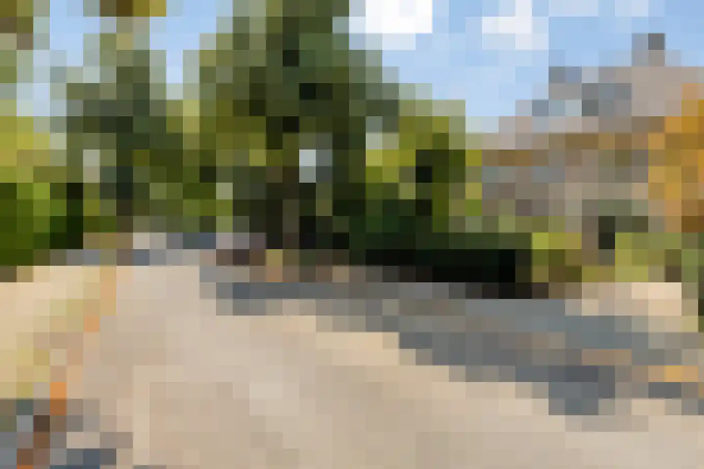 Tromplaan 13 Velp thumbnail 49