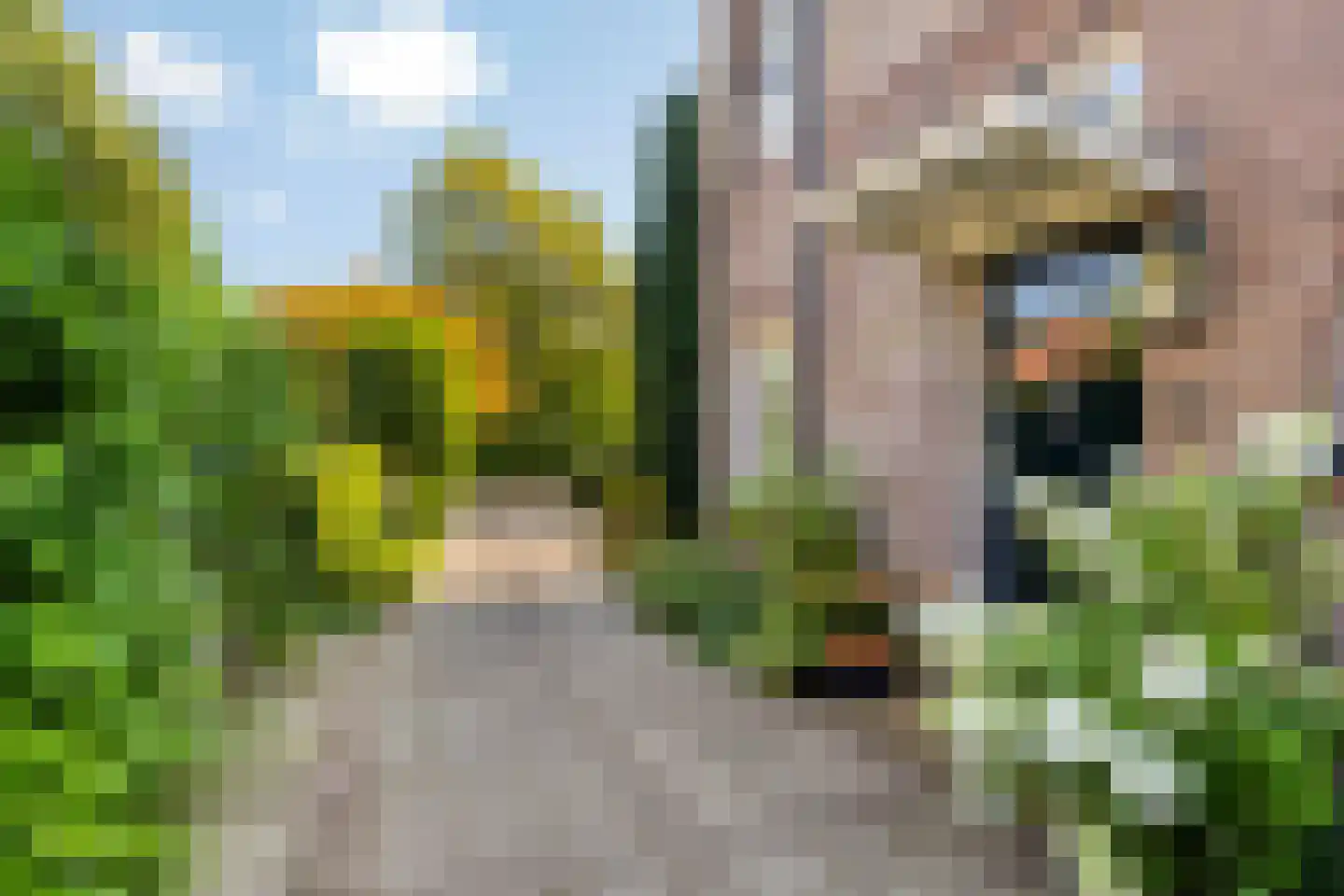 Tromplaan 13 Velp thumbnail 51
