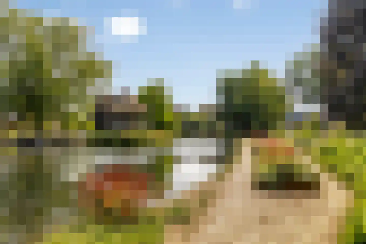 Tromplaan 13 Velp thumbnail 53