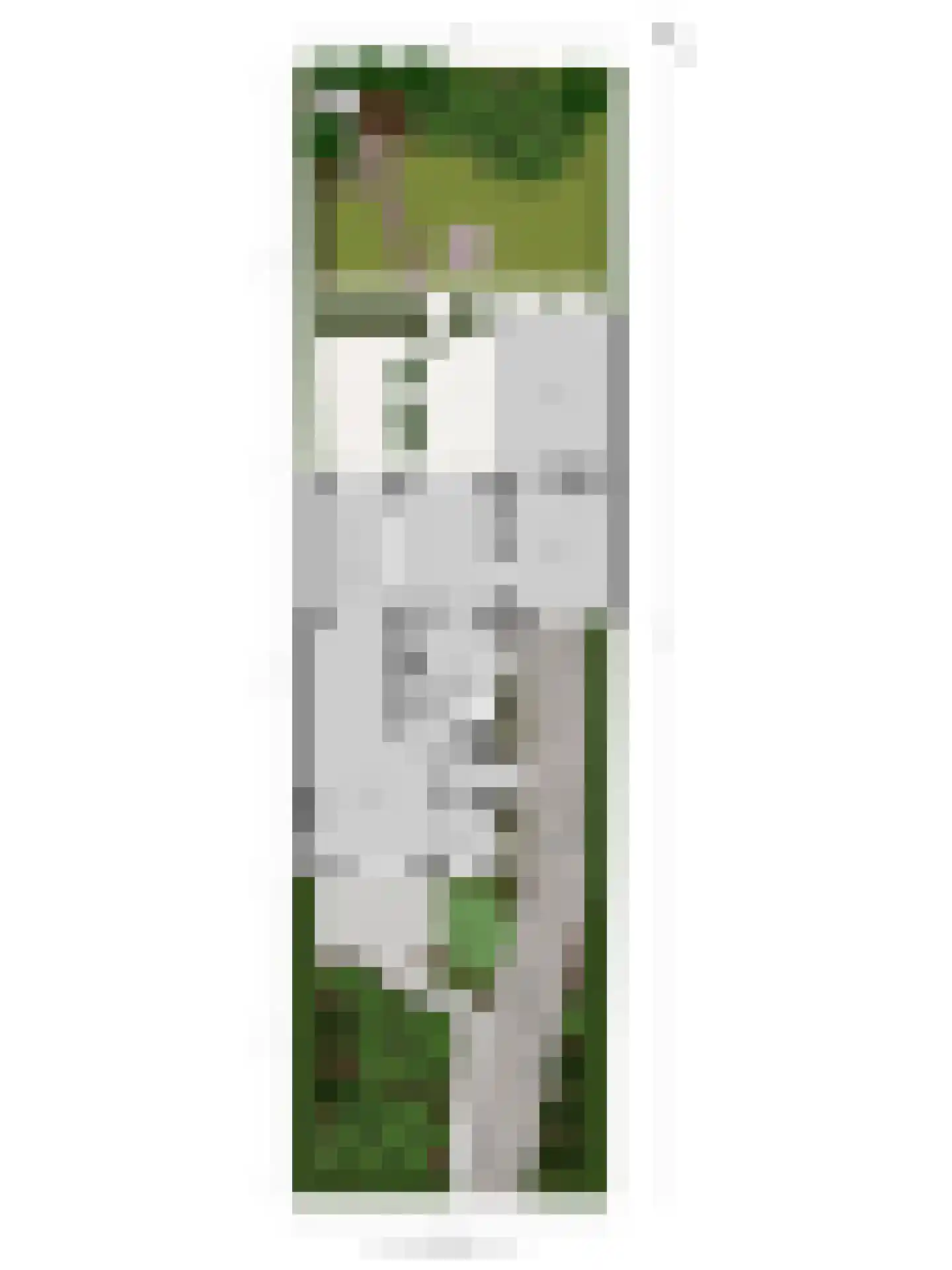 Tromplaan 13 Velp thumbnail 54