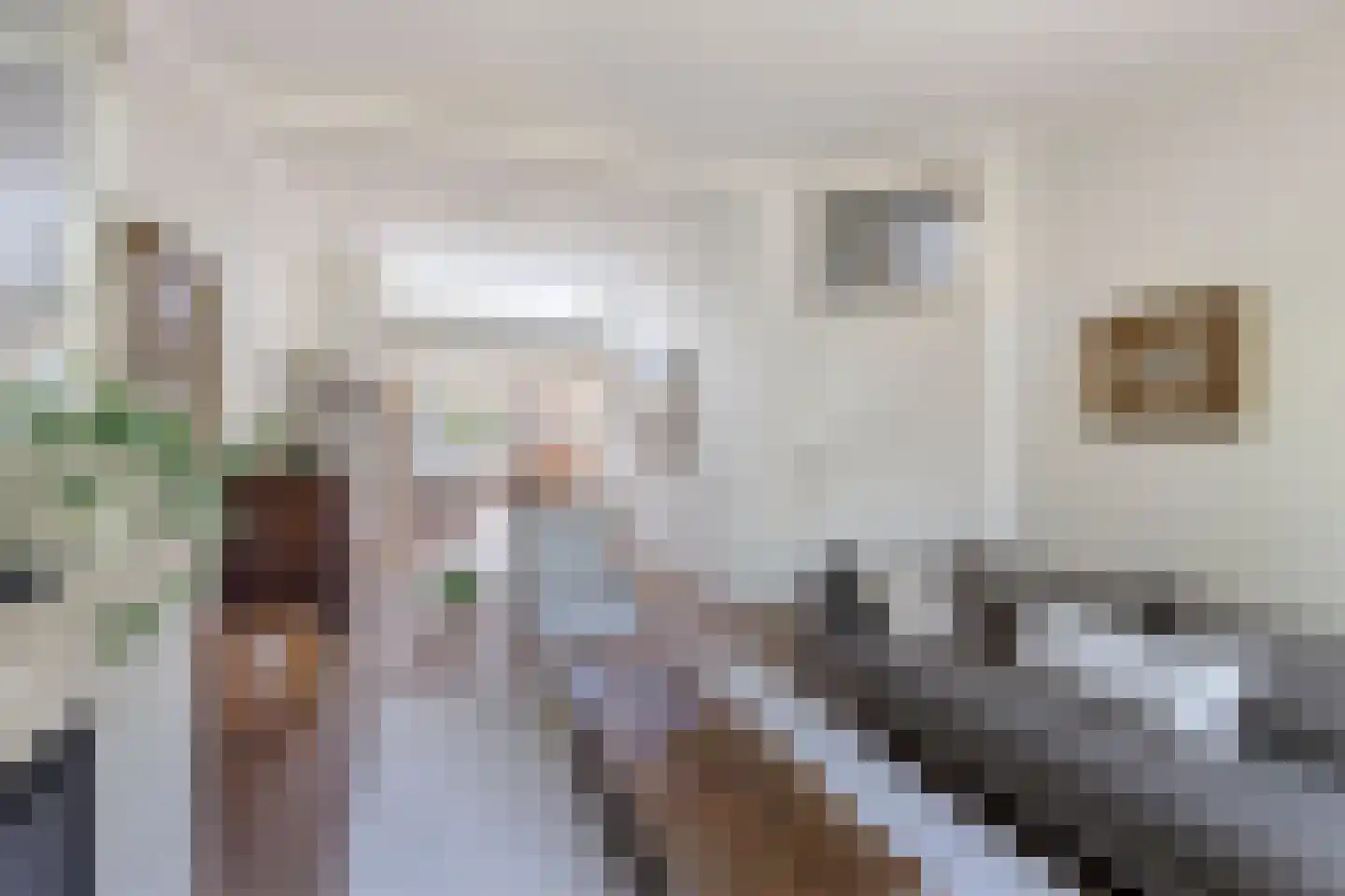 Tromplaan 13 Velp thumbnail 7