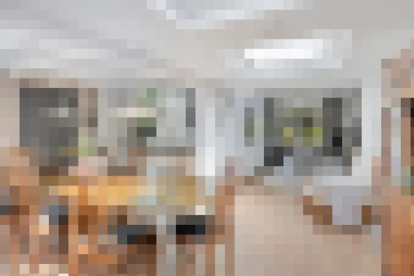 Tromplaan 13 Velp thumbnail 9