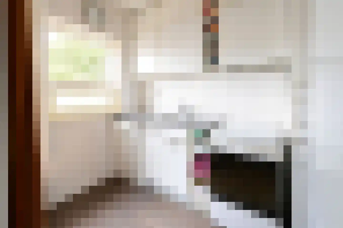 Tromplaan 15 Bussum thumbnail 9