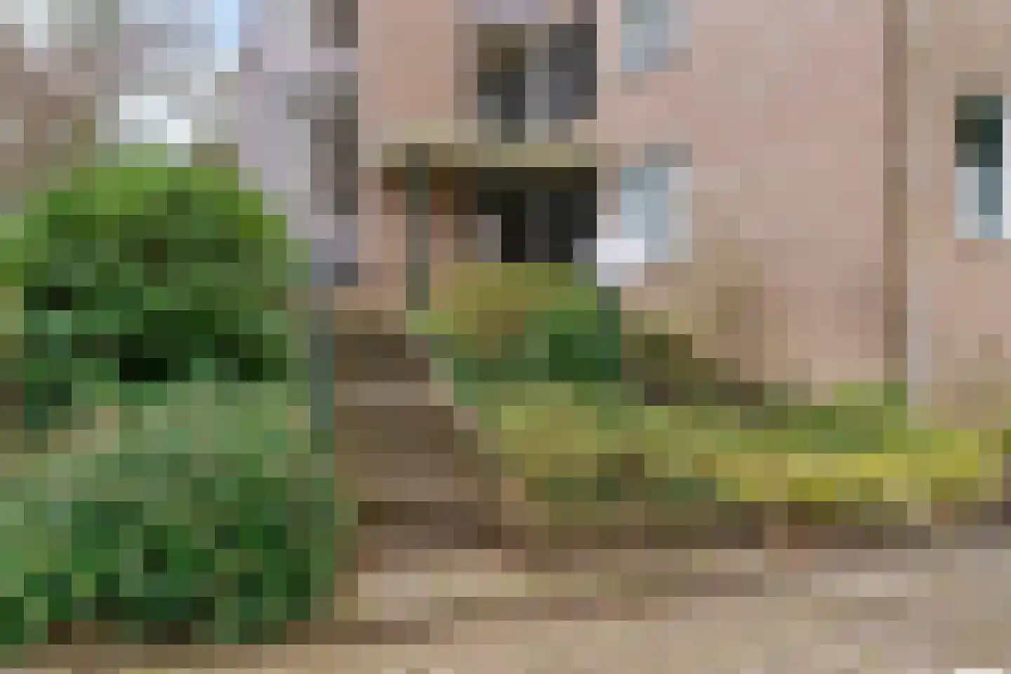 Tromplaan 16 Hilversum thumbnail 4