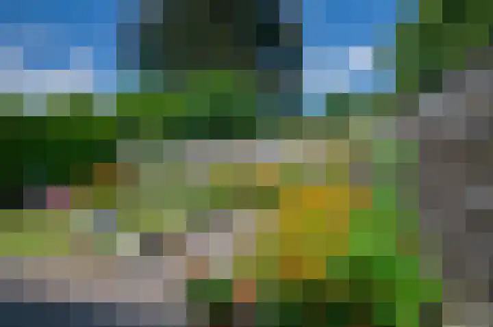 Tromplaan 17 Winschoten thumbnail 37