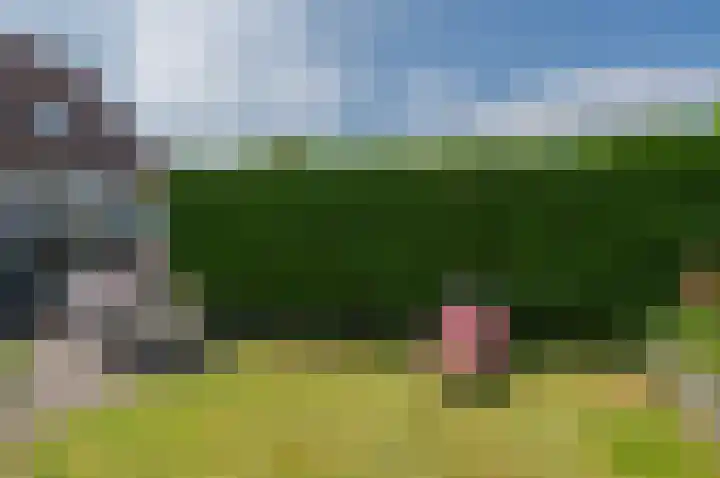 Tromplaan 17 Winschoten thumbnail 39