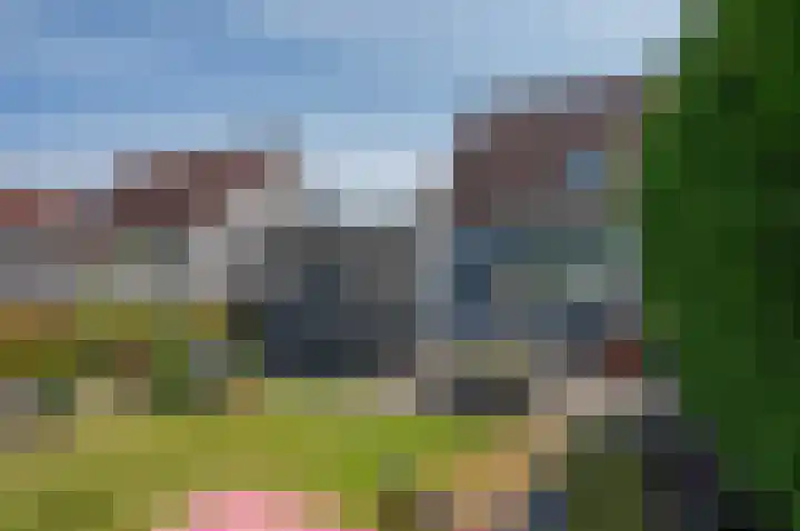 Tromplaan 17 Winschoten thumbnail 40