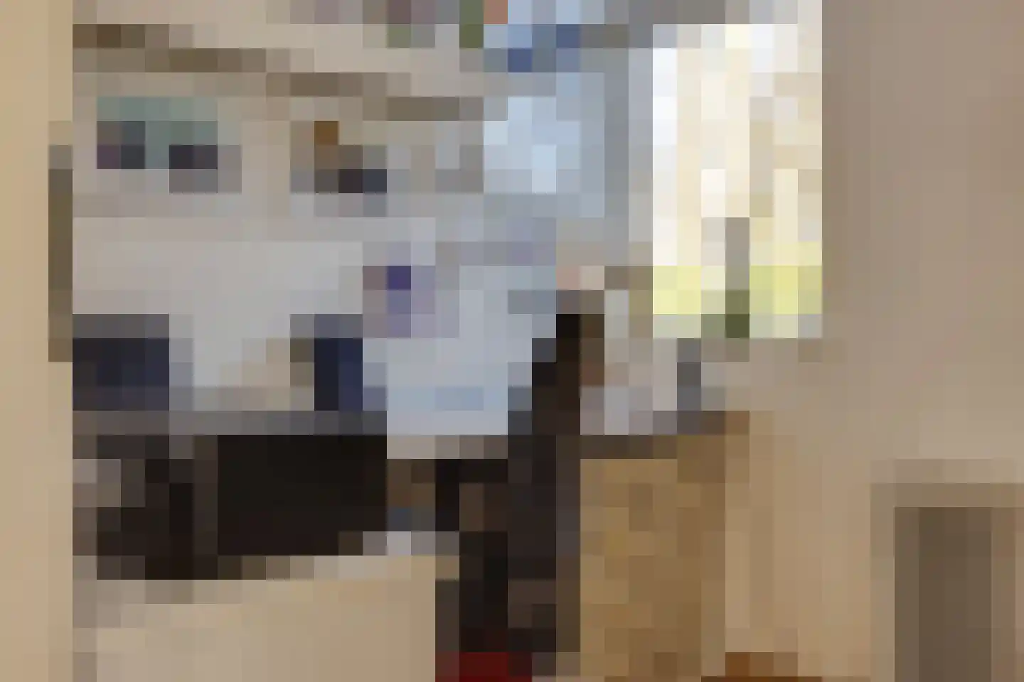 Tromplaan 18 Hilversum thumbnail 11