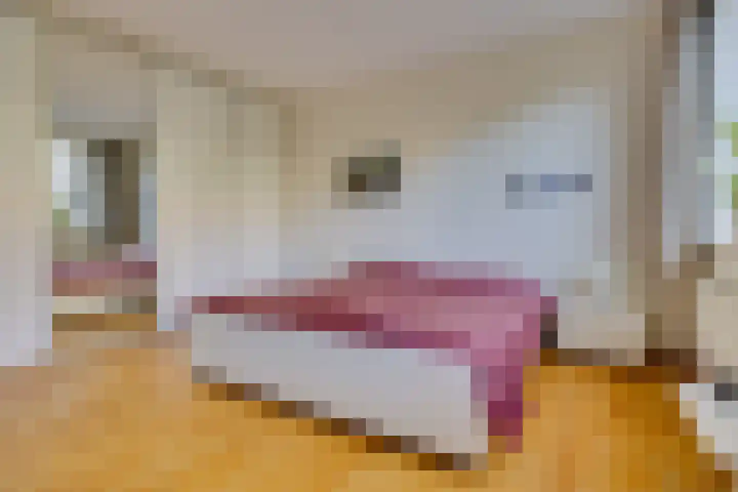 Tromplaan 18 Hilversum thumbnail 20