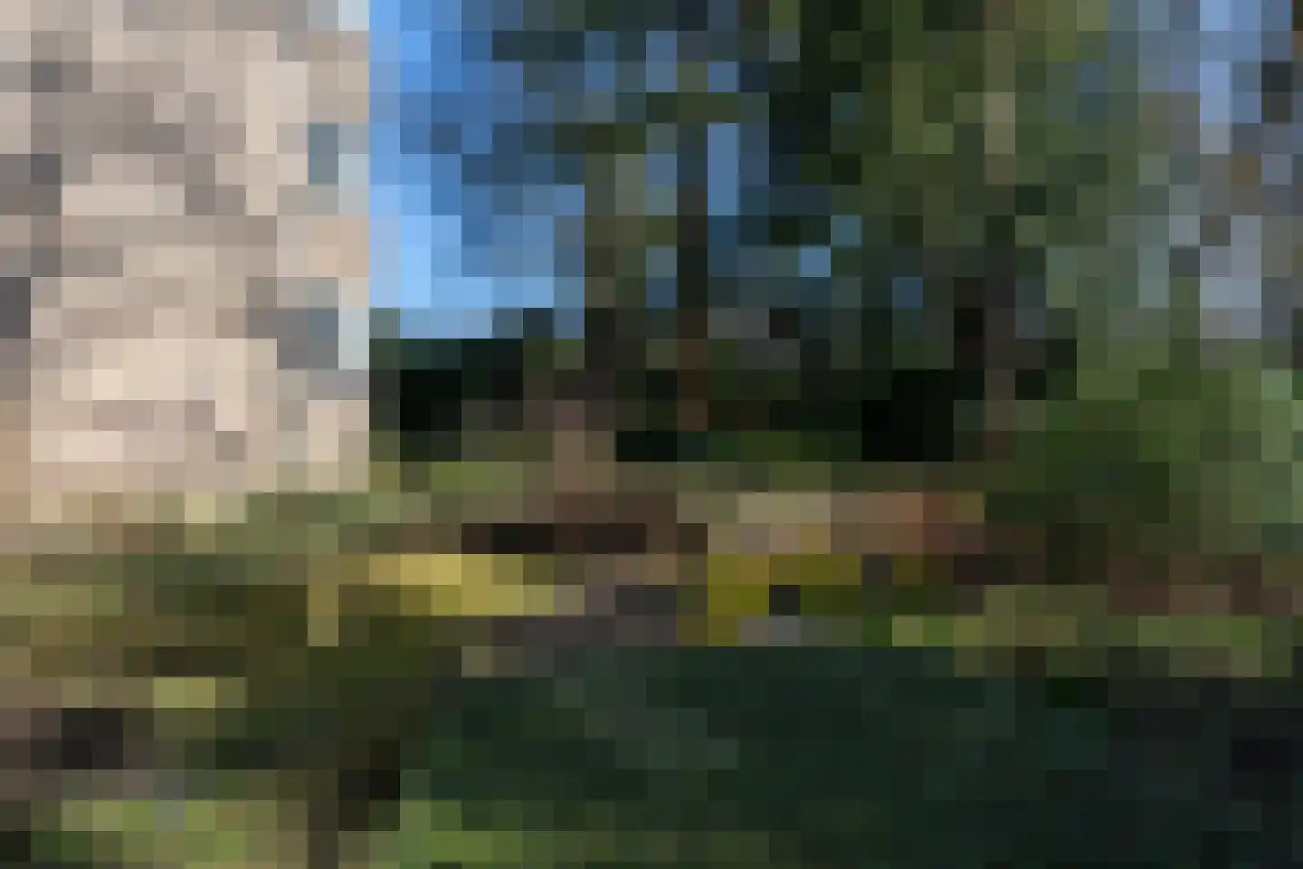 Tromplaan 18 Hilversum thumbnail 26
