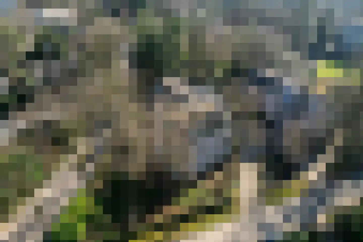 Tromplaan 18 Hilversum thumbnail 32