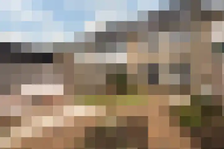 Tromplaan 18 Woudenberg thumbnail 45