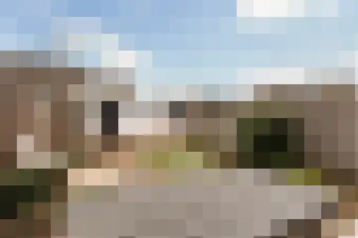 Tromplaan 18 Woudenberg thumbnail 5