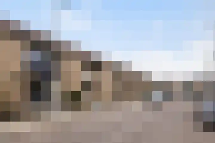 Tromplaan 18 Woudenberg thumbnail 6