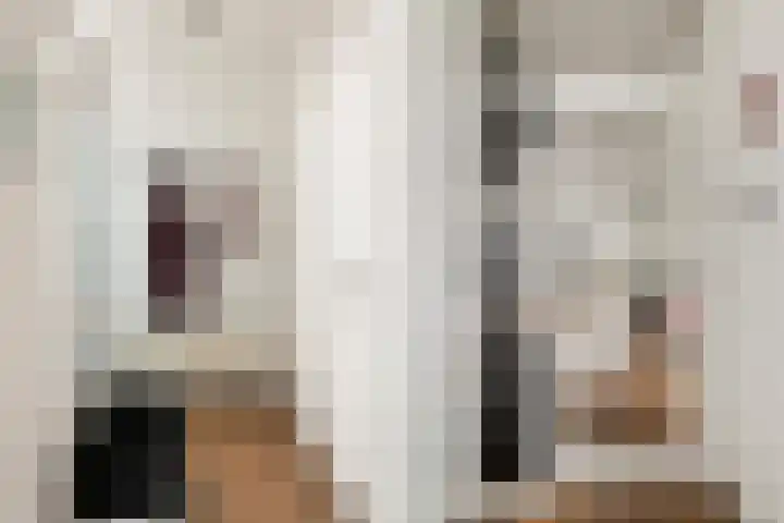 Tromplaan 18 Woudenberg thumbnail 8