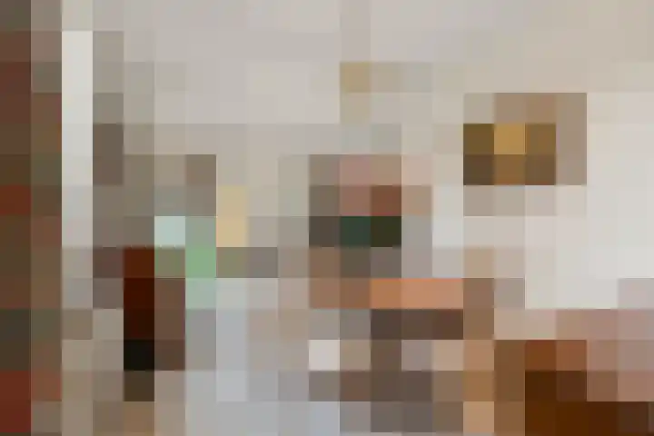 Tromplaan 19 Velp thumbnail 10