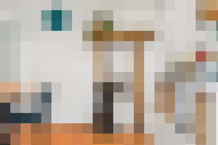 Tromplaan 19 Velp thumbnail 16