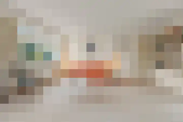 Tromplaan 19 Velp thumbnail 17