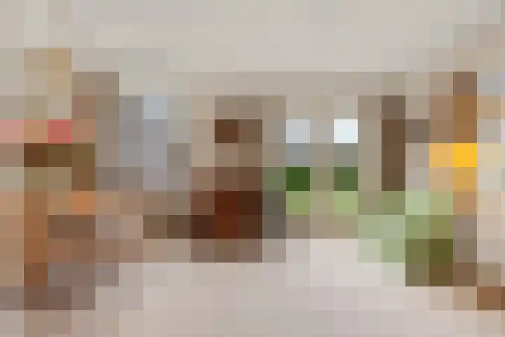 Tromplaan 19 Velp thumbnail 18